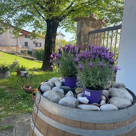 Casaroman San Floriano del Collio Bagian luar foto