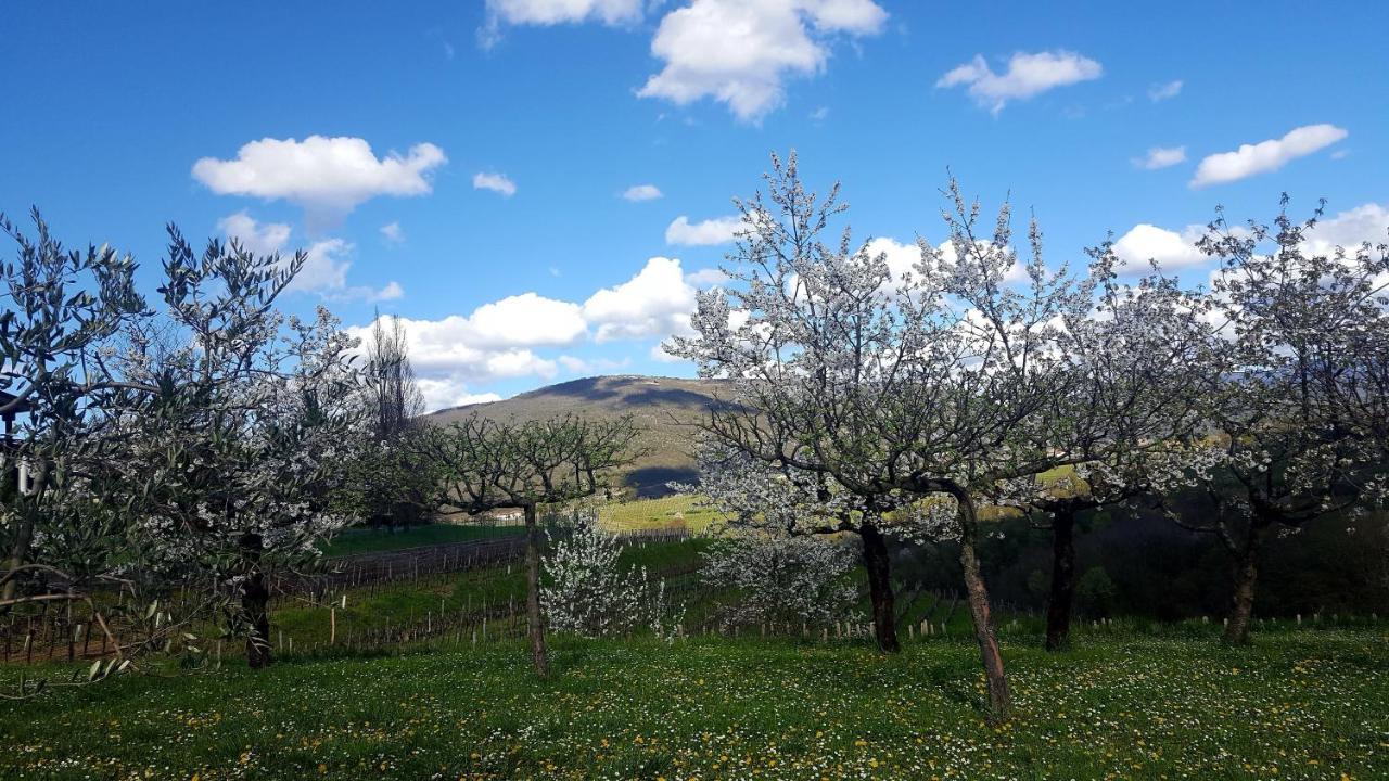 Casaroman San Floriano del Collio Bagian luar foto