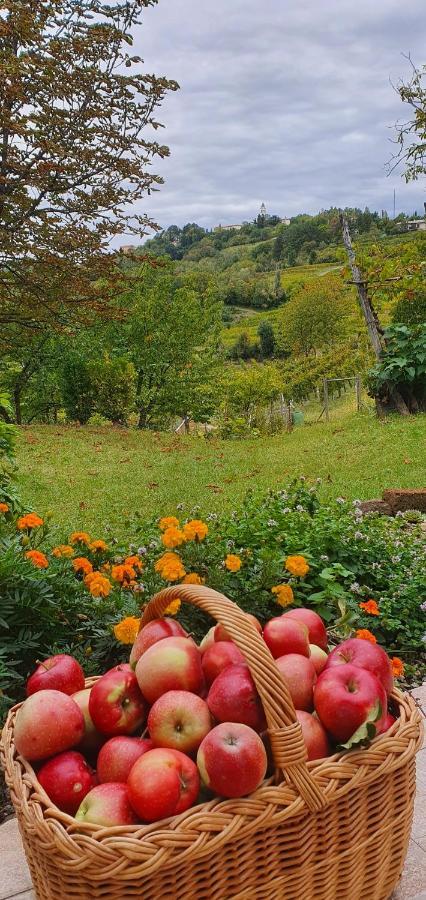 Casaroman San Floriano del Collio Bagian luar foto