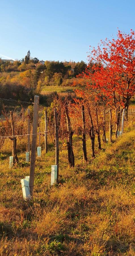 Casaroman San Floriano del Collio Bagian luar foto