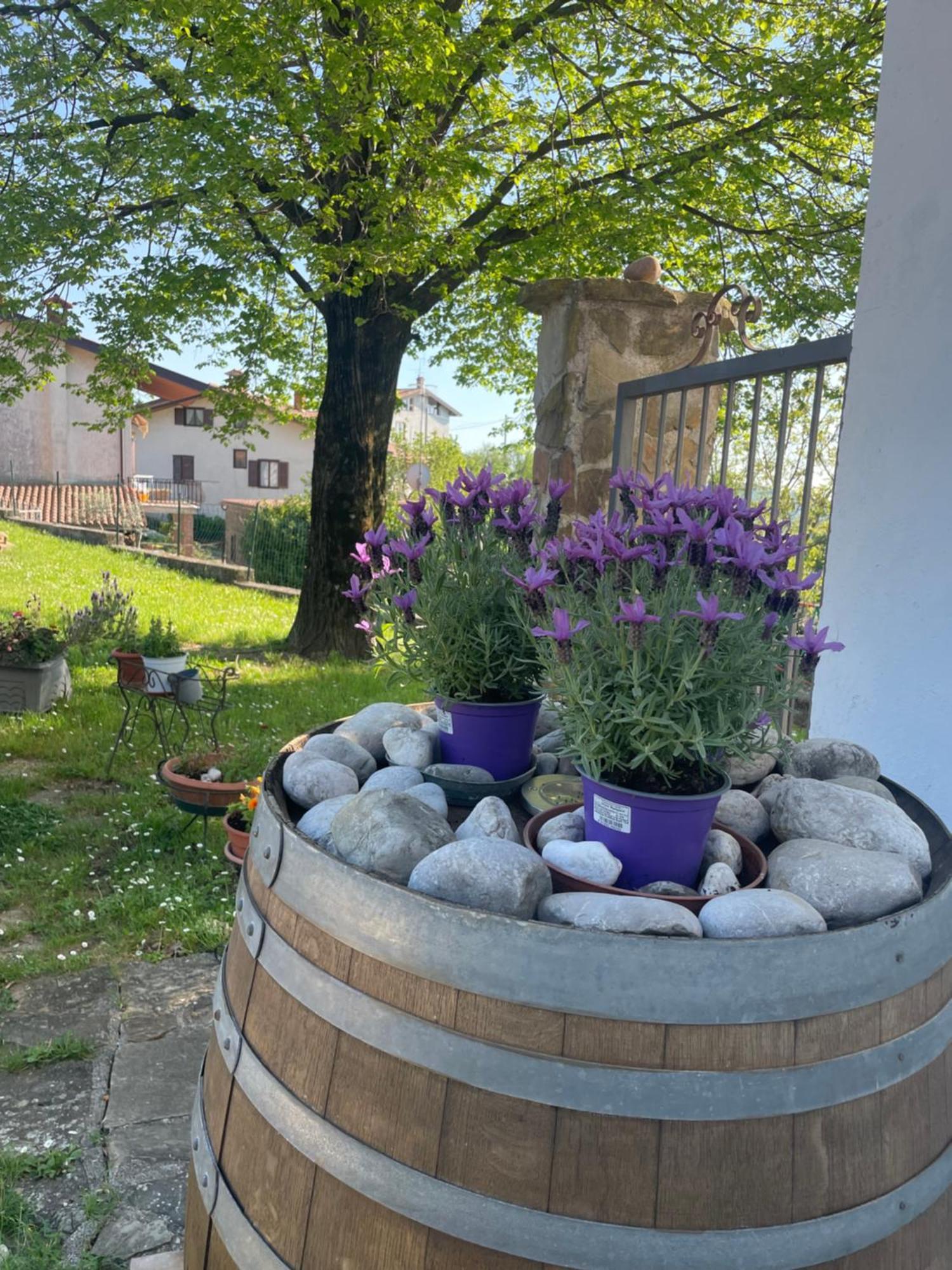 Casaroman San Floriano del Collio Bagian luar foto