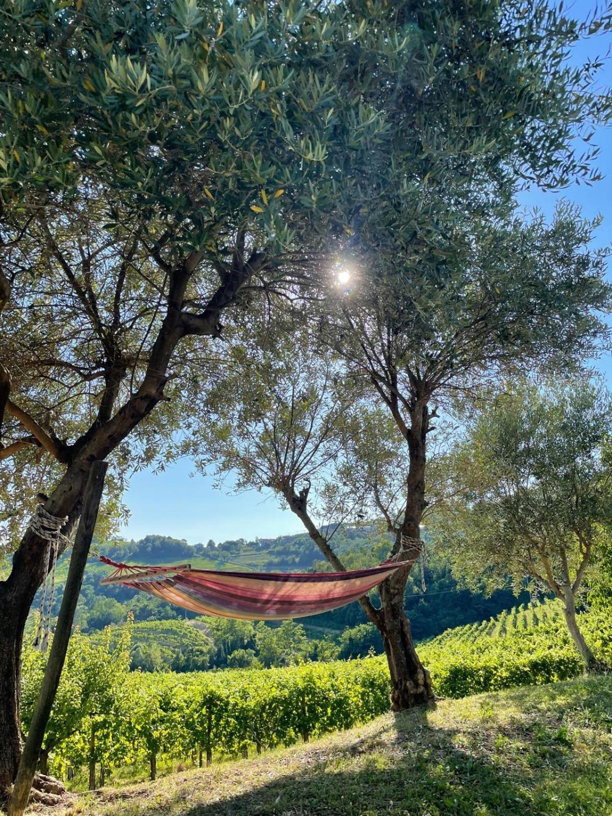 Casaroman San Floriano del Collio Bagian luar foto